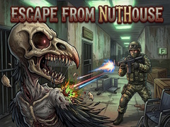 თამაშის Escape from nuthouse 