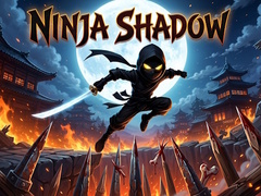 თამაშის Ninja Shadow