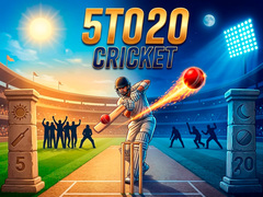თამაშის 5TO20 Cricket