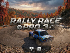 თამაშის Rally Race Pro 3