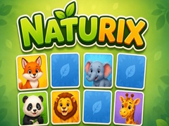 თამაშის Naturix