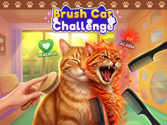 თამაშის Brush Cat Challenge 