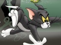 თამაშის Tom And Jerry Chase In Marsh