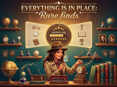 თამაშის Everything is in place: Rare finds