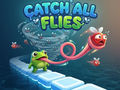 თამაშის Catch All Flies