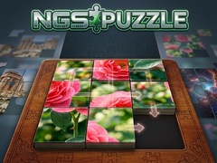 თამაშის NGS Puzzle