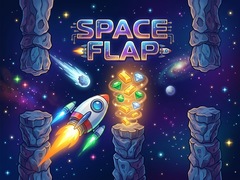 თამაშის Space Flap