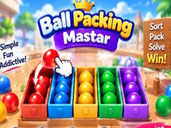 თამაშის Packing Master Puzzle