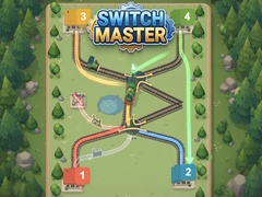 თამაშის Switch Master