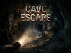 თამაშის Cave Run