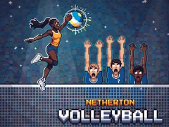 თამაშის Netherton Volleyball