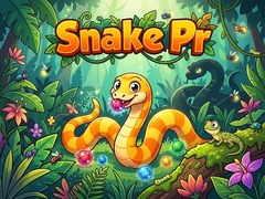 თამაშის Snake Pr
