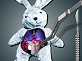 თამაშის Save The Bunny