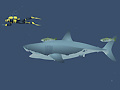 თამაშის Mad Shark