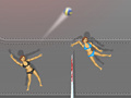 თამაშის Ragdoll Volleyball