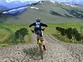 თამაშის 3D Mountain Bike