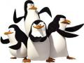 Penguins of მადაგასკარის თამაშები 